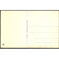 Aarhus - Fra Mindeparken - Stender A. 411 - Ubrugt