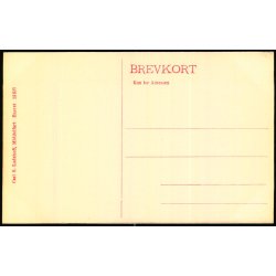 Middelfart - Udsigt fra Snogh�j - Carl S. Ladehoff 12623 - Ubrugt