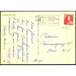 Aabenraa - Ringridderfest - Stender 149 816 066 - Brugt