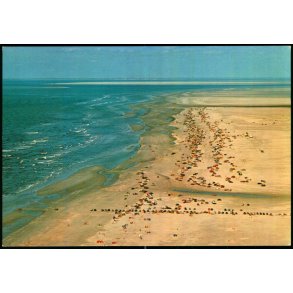 R�m� Strand - Lakolk - Stjerne Foto 35139 - Ubrugt