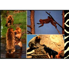 L�veparken Givskud - L� 59 - Ubrugt