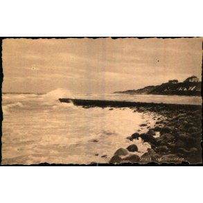 Strand ved Tisvildeleje - S. Nielsen 49482 - Ubrugt