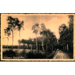 Birkeskov - Tisvilde Hegn - E. Ramlaus Bogh. 6452 - Brugt