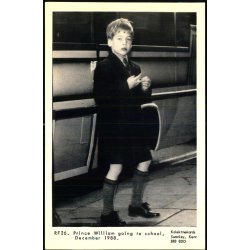 Prince  William - Ubrugt