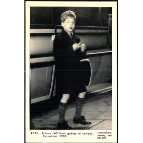 Prince  William - Ubrugt