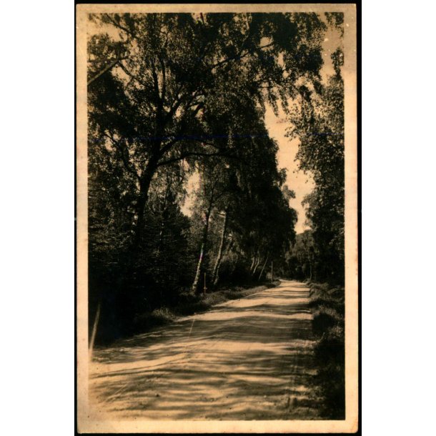 Tisvilde Hegn - Birke Alleen - Stationskiosken 103 - Ubrugt