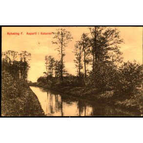 Nyk�bing F. Aaparti i Kohaven  - Mackepregs Bogh. 44050 - Brugt