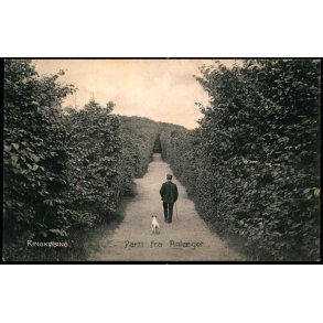 Ringk�bing - Parti fra Anl�get - Stender 8377 - Ubrugt