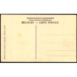 Ebeltoft set fra Raadhustaarnet - Ebeltoft Bogh. 303 - Ubrugt