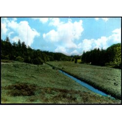 Hjortedalen ved Randb�l - Stjerne Foto 33290 - Ubrugt