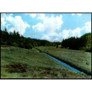 Hjortedalen ved Randb�l - Stjerne Foto 33290 - Ubrugt