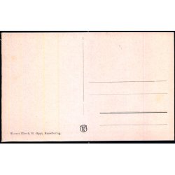 Kortegen Karl Johansgate - (Kronprinseparrets Modtagelse ) - Oppi u/n - Ubrugt 