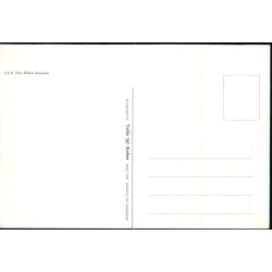 Prins Willem Alexander - Trebla u/n - Ubrugt