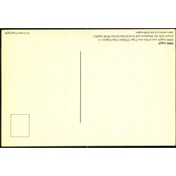 HMS Argyll - Crown u/n