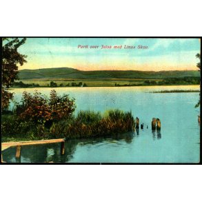 Parti over Juls� med Linaa Skov - C.F. Eneret 642 - Brugt