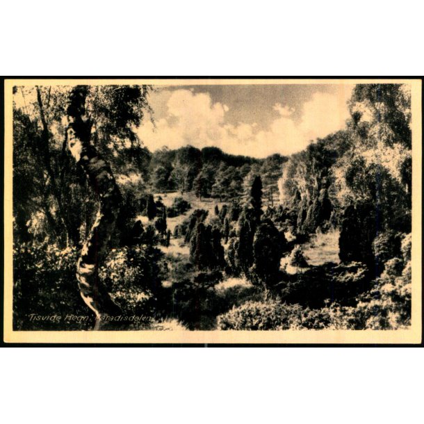 Tisvilde Hegn - Paradisdalen - W. Jrgensens Bogh. 168 - Ubrugt