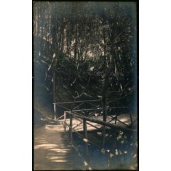 Moesgaard - 8-1-09 - Fotokort u/n - Brugt