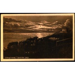 Udsigt over Tisvilde Leje - Albert Jensens Bogh. 8006 - Ubrugt