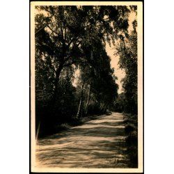 Tisvilde Hegn - Birke Alleen - Stationskiosken 103 - Brugt