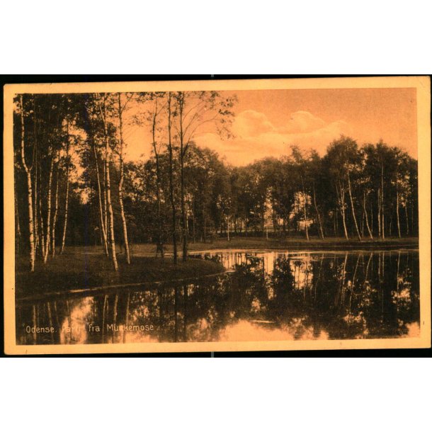 Odense - Parti fra Munkemose - Stender 41472 - Ubrugt