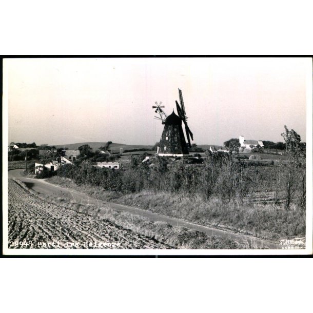 Parti fra Helgen�s - Stjerne Foto 29948 - Ubrugt