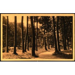 Nyk�bing F. - Parti fra Kohaven -  V. Kristoffersens Bogh. 38933 - Ubrugt