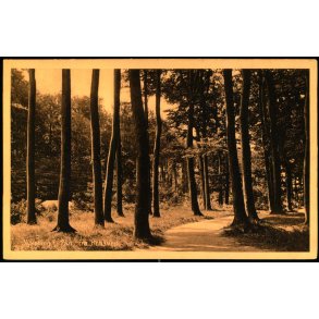 Nyk�bing F. - Parti fra Kohaven -  V. Kristoffersens Bogh. 38933 - Ubrugt