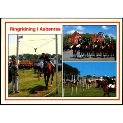 Aabenraa - Ringridning - Trojaborg AB 9 - Brugt