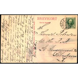 Birketr�er - Tisvilde Hegn - A. Jensens Bogh. 23699 - Brugt