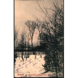 Nyborg -  Vinterdag i Christianslund Skov - W.K.F. 3786 - Brugt