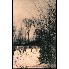 Nyborg -  Vinterdag i Christianslund Skov - W.K.F. 3786 - Brugt