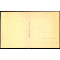 Parti fra Blaavand - P. Petersen 26 - Ubrugt