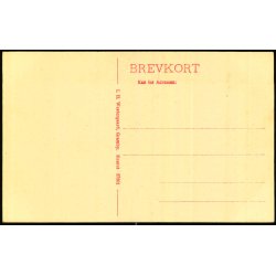 Den brede Alle`i Gram Slotspark - J.H. Westergaard 27361 - Ubrugt