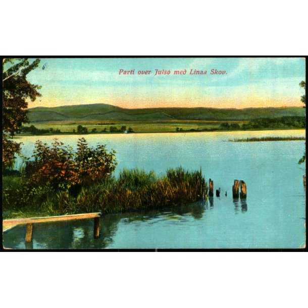 Parti over Juls� med Linaa Skov - C.F. Eneret 642 - Brugt