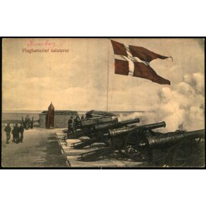 Flagbatteriet saluterer - J.M. 262 - Brugt