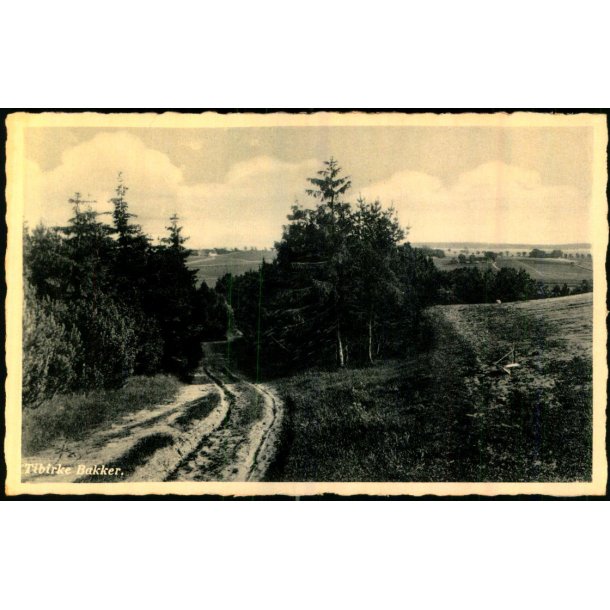 Tibirke Bakker - Rudolf Olsen 4667 - Ubrugt