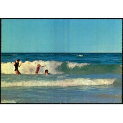 Strandparti - Vesterhavet - CIC 742 - Brugt