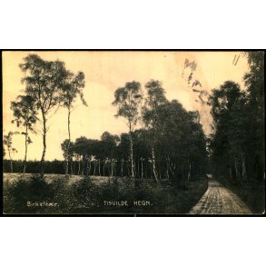 Birketr�er - Tisvilde Hegn - A. Jensens Bogh. 23699 - Brugt