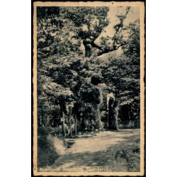 Jgerspris - Kongeegen - Nordskoven - Rudolf Olsen 4769 - Brugt