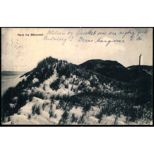 Parti fra Blaavand - P. Petersen 28 - Brugt