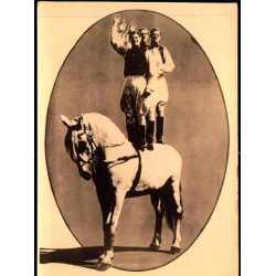 Hestenummer - u/n -  Ubrugt