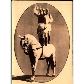 Hestenummer - u/n -  Ubrugt