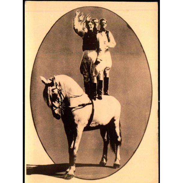 Hestenummer - u/n -  Ubrugt