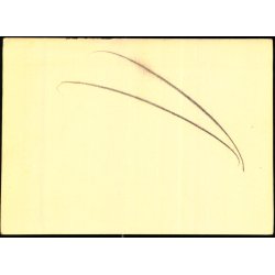 Hestenummer - u/n -  Ubrugt