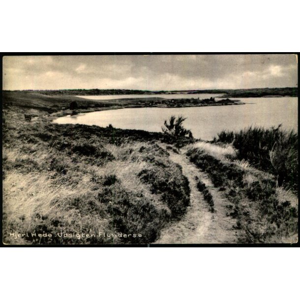 Hjerl Hede - Udsigten  Flynders� - Hjerl Fonden 94429 - Ubrugt