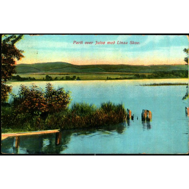 Parti over Juls� med Linaa Skov - C.F. Eneret 642 - Brugt