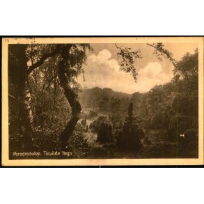 Paradisdalen - Tisvilde Hegn - E. Ramlaus Bogh. u/n - Brugt