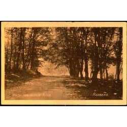 Randers - Parti fra Vester Altan - C.S.F. u/n - Brugt