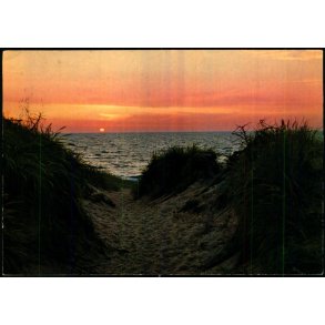 Vesterhavet - CIC 837 - Brugt