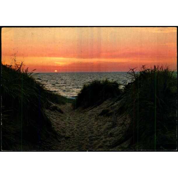 Vesterhavet - CIC 837 - Brugt